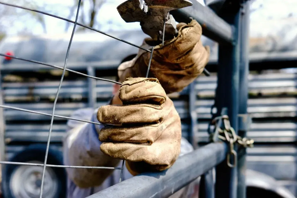 Man in rugged work gloves securing wire fence outdoors